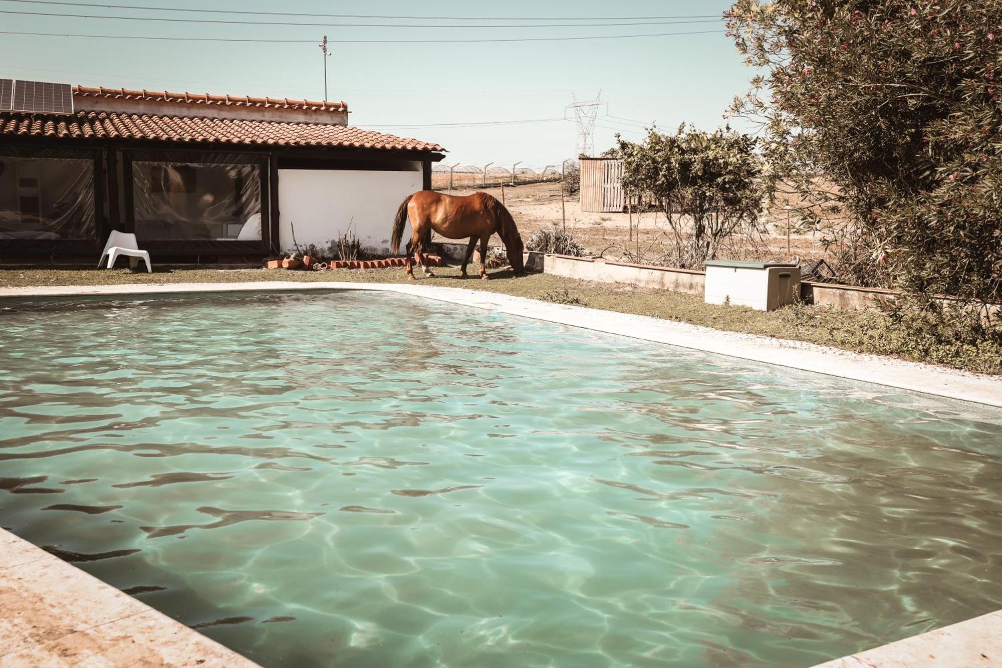 Quinta Caçadoras