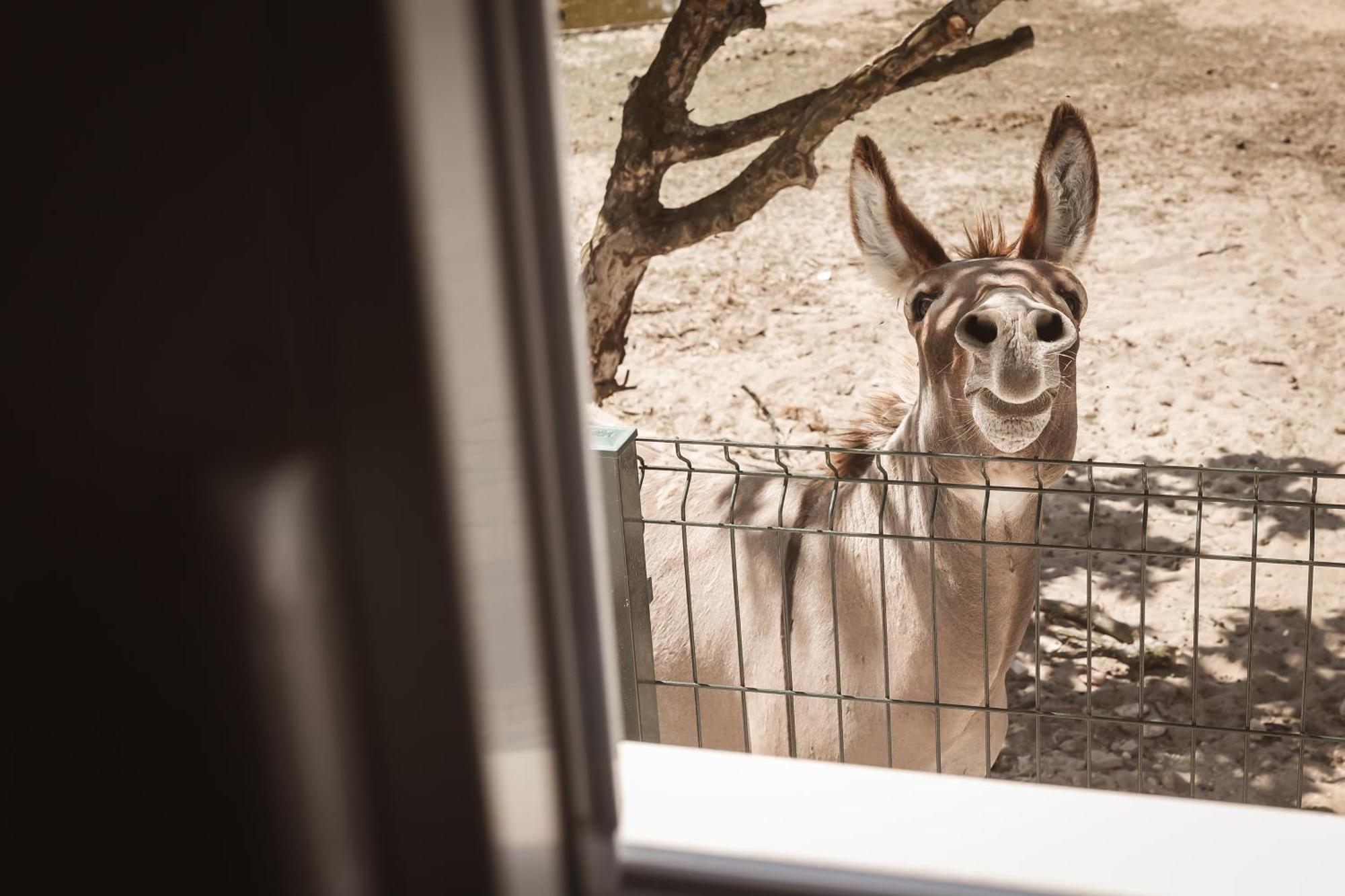 Quinta Caçadoras Séjour chez l'habitant *