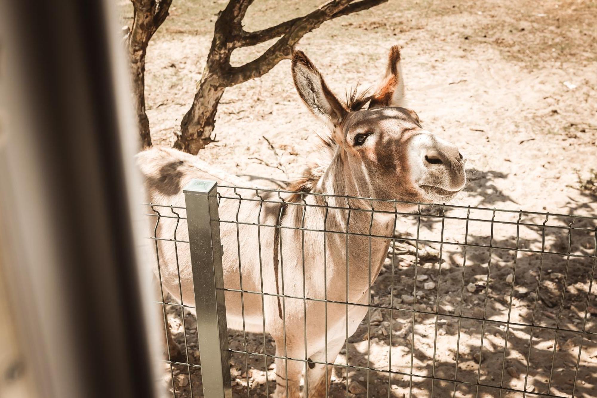 Séjour chez l'habitant Quinta Caçadoras